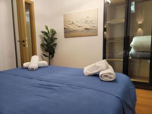 Cozy Apartment ROV