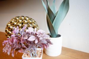 Departamento Nuevo Centro Monterrey