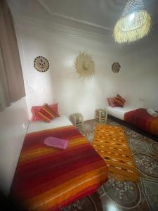 Black Pearl surf yoga and skate house