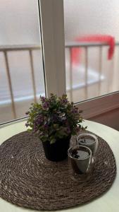 Cozy One Bedroom Apartment