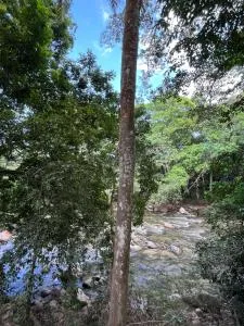 Riverside Hostel - Dibulla