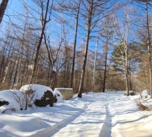 Gilson Story Pension