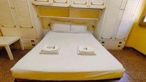 Kotel lorenzo il magnifico