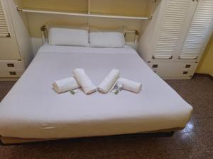 Kotel lorenzo il magnifico