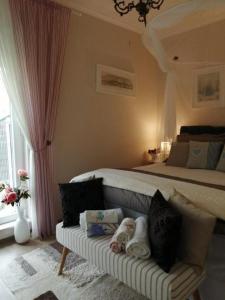 Apartments with swimming pool Vodice - 23696