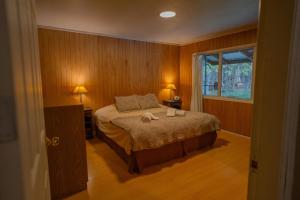 Cabaña en el bosque de Llanos del Castor