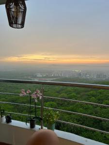 the best view of Barranquilla