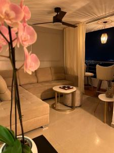 the best view of Barranquilla