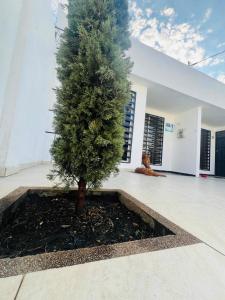 Hermosa casa en Flandes