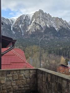 Pensiunea Cameea Busteni