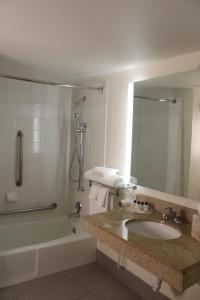 King Room with Tub and Grab Bars - Mobility/Hearing Accessible - Non-Smoking room in Holiday Inn Flint