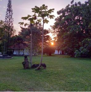 Subodinee Bungalow