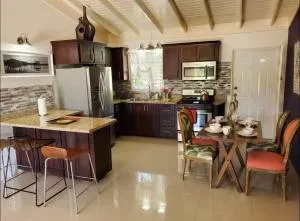 Villa Island - Steer Town