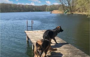 Gorgeous Home In Jaromierz With Sauna