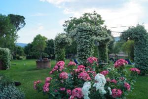 Tenuta Di Argiano A Montepulciano