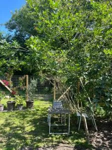 Cosy Cabin Collection In Veddinge Bakker - Asnæs