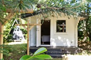 Live In A 70S Oasis In The Middle Of The Forest