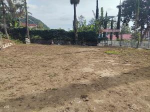 Naomi Villa Tawangmangu