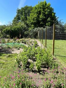 Cosy Cabin Collection In Veddinge Bakker