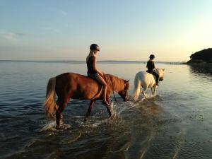 Family Home With Soul Near Skødshoved