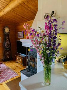 Log Cabin Near Vasaloppet Ski Trail In Gopshus