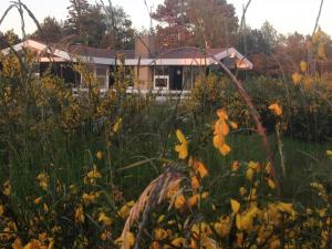 Summer Vibe Near Fynshoved And The Great Belt