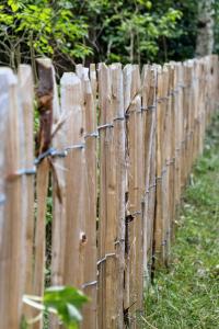 Home With Orangery Near Beach And Forest