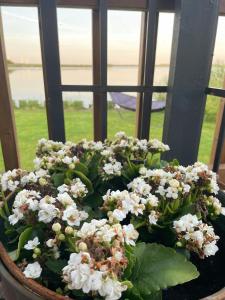 Protected Fjord Cabin With Fjord Views