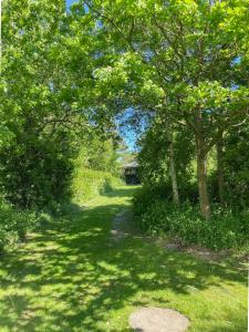 Personality In Architect Home Near Spøttrup