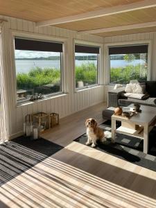 Protected Fjord Cabin With Fjord Views