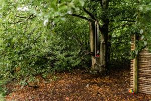 Thatched Architecture With Nature And Peace