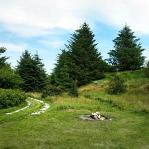 Cozy, Cottage In Unspoiled Nature
