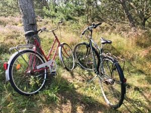 Simple Living In The 70S Summer House At Skiveren