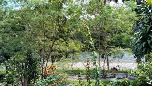 Wisma Batu Mandi and Jungle trekking