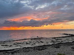 Personality In Architect Home Near Spøttrup