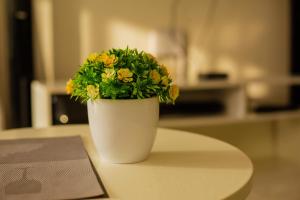 Classic Studio Bamburi