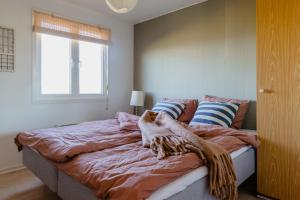 Sand Between Toes At Hejlsminde Beach