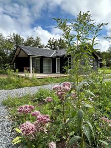 Idyllic Newly Built Home In North Zealand Nature
