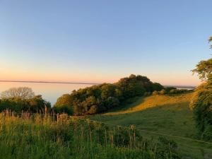 Cosy Cabin Collection In Veddinge Bakker