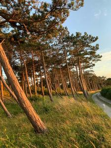 Summer Vibe Near Fynshoved And The Great Belt