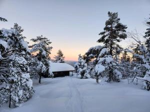 Cozy Private Holiday Home On Lifjell