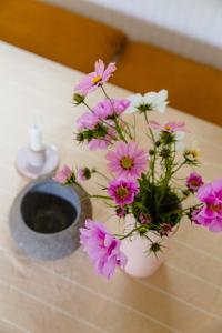 Cook Under The Open Sky In Ebeltoft