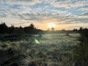 Family House At Kryle Klit Near Wild Nature