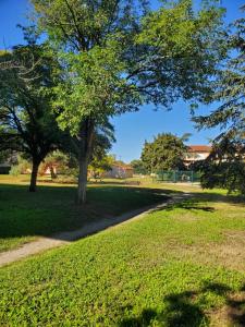 Appartements APPT Cosy entier avec piscine : photos des chambres