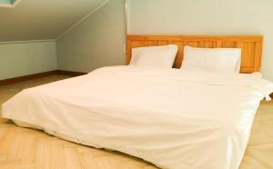 Chuncheon Dog pension Walk the Flower Path