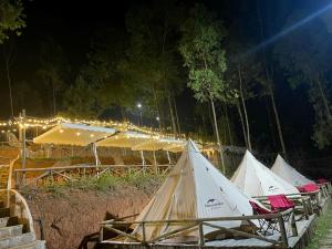 Best View Đồng Văn