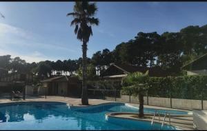 Appartements Le Cocon - Detente sous les pins avec piscine partagee : photos des chambres