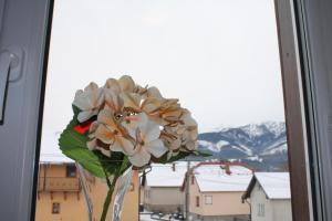 Penzión u Jurka Zuberec