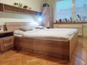 Apartmán na Perunské - 霍多宁