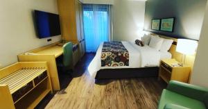 RARIDADE!!! - Flat Particular de Alto Padrão - Limpeza Diária Gratuita - Excelente Atendimento - Ótimo Preço - Cama King Size - Dentro do Hotel Lets Idea